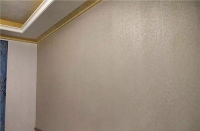 裝修完不通風(fēng)就能入住,正典集成墻面真的可以?